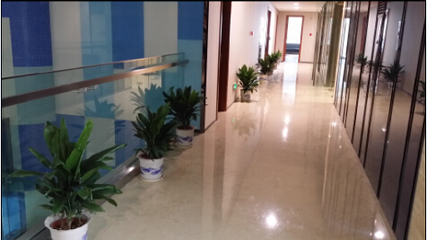 专业花卉出租服务 打造您的绿色空间